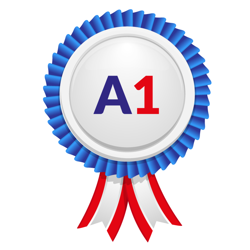 a11